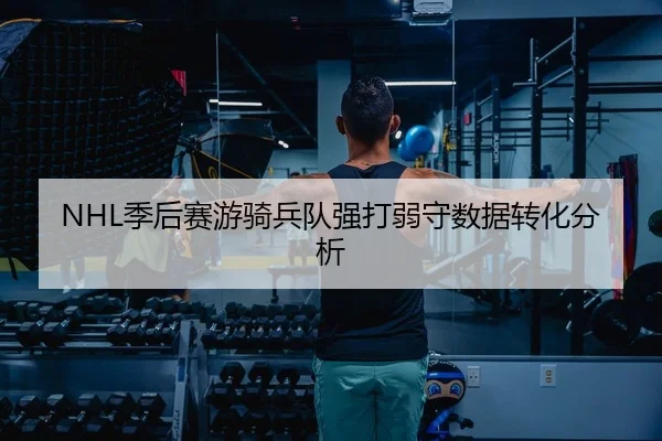 NHL季后赛游骑兵队强打弱守数据转化分析